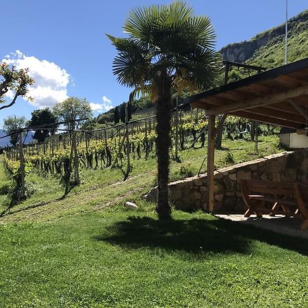 Weifnerhof Villa Termeno Luaran gambar